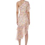 AMUR Floral One Shoulder Ruffled Silk Clayton Dress Women’s Size 4 Pink Photo 2