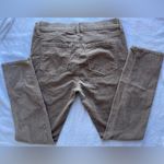 Ann Taylor  Loft Skinny Pants in Light Brown Photo 2