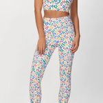 Beach Riot  L Ayla High-Rise Legging Primary Leopard Workout Gym Crop Yoga Ribbed Photo 8
