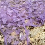 Purple Butterfly Women Swim Sarong Photo 4