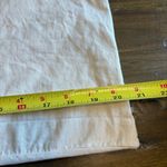 BCBGMAXAZRIA  Vintage Logo Dust bag Cover Sleeve Travel Case Protective Photo 3