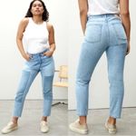 Everlane  The Curvy 90s Cheeky Ankle Cropped Jeans size 28 Photo 1