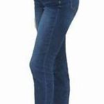 Gap 1969 Curvy Skinny 25R  Jeans Photo 1