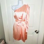 Red Dress Boutique Aaakaa Wish For More One Shoulder Ruffle Satin Dress Blush M Photo 3