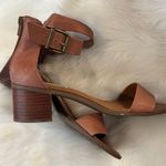 Steve Madden  Brown Block Heel Sandals Size 8 Photo 2