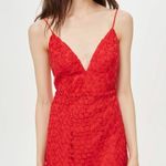 Topshop Red Floral Lace Plunge Asymmetrical Dress Photo 3