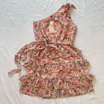 NWT Small BTFBM One Shoulder Ruffle Sun Dress Floral Baby Pink Belt Beach Boho Photo 3