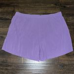 NWOT Colleen Lopez High Waisted Pull Photo 2
