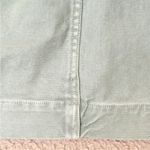 Madewell  Denim Emmett Mint Sage Skirt, size 26 Photo 6
