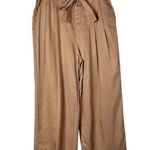 ZARA Beige Pink Pleated High Rise Wide Leg Paperbag Pants 4 Photo 0