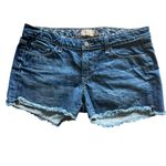 Paige Denim Frayed Hem Women Shorts size 31 Photo 1