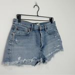 AGOLDE  Parker Vintage Cut Off Short Swapmeet distressed size 29 Photo 3