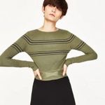 ZARA Chic Olive and Black Striped Top Photo 0