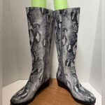 Aerosoles Aerosole Women’s Brenna Knee High Grey Snake Skin Design Tall Fashion Boot Photo 6