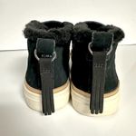 Toms Paxton Sneaker Photo 4