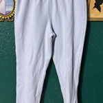 SKIMS  Classic Jogger Sweatpants Baby Blue Sz Small Photo 0