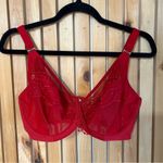 Elomi Priya Plunge Lace Bra in Haute Red Size US 34I EL4550HAD Photo 1