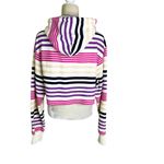 Champion  Urban Outffitters Reverse Weave Striped Cropped Hoodie Size S Photo 5