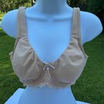 Curve Muse Elegant Lace Trimmed Bra in Tan 36C Size undefined Photo 0