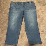 Terra & Sky  Straight Leg Jeans SIZE 24WP Photo 0
