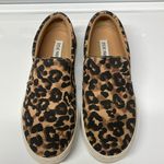 Steve Madden  Gills Slip On Leopard Print Sneakers Photo 0