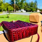 Brahmin Marley Rose Ombre Melbourne Leather Crossbody Bag NWT Photo 2