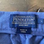 Pendleton Pendelton Skirt Size Large Blue Pencil Skirt Boho Hippie‎ Earthy Casual Photo 2