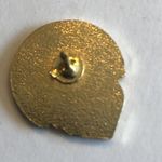 Shriners Hospitals for Children Pin Gold Tone Pin Photo 4