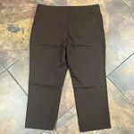 kim rogers Short Brown Pull-On Pants 16S Photo 5