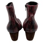 Coconuts by Matisse Spade Ankle Boots Booties Burgundy Snakeskin Print Size 7.5 Photo 1