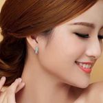 925 Silver Plated Double Row CZ Diamond Silver Hoop Earrings for Women Photo 3