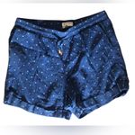 Ellen Tracy  Blue Polka Dot Women's Shorts Photo 2