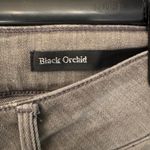 Black Orchid Denim in Women’s Classic Gray Bermuda Cotton Shorts Size 26 Photo 4