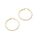Fashion Hoop Gold plated Earrings Photo 3