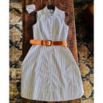 Liz Claiborne Cotton Navy Blue and White Pin Striped Button down dress Size L Photo 1