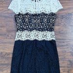 Milly • Gabrielle Dress color block lace two tone sheath black white cocktail Photo 11