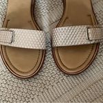 Isola  Savina Sandals Photo 3