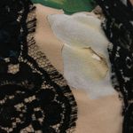 Dolce & Gabbana NWOT  lace trim floral dress size 38 Photo 9