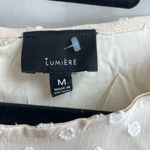 Urban Outfitters  Lumiere Cream Chiffon Babydoll Dress Size M Photo 2