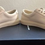 Saint Laurent Sneakers Andy Low Top Brooklyn Dark Coquille Casual Womans Sneaker Photo 11