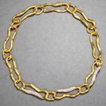 Alexis Bittar New  Gold and Silver Chain Necklace Photo 1