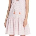 BeachLunchLounge Women’s Daphine Boho Embroidered Striped mini Dress Photo 0