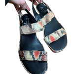 Thierry Rabotin Uno Python Snake Sandals Sz. 39 (US 8.5) Photo 0