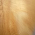 Vessi Everyday Move Slip On Waterproof Black Sneakers Size 8 Photo 6