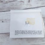 Vintage Milini Wearable Works of Art Ducks with Bow Brooch Photo 9