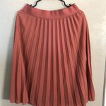 Pleated Skirt Size M Photo 0