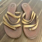 Tory Burch  Patos Flat Strappy Sandal Brown Size 7 Photo 1