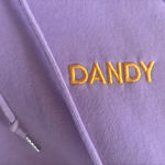 Dandy Worldwide  Hoodie Photo 2