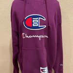 Champion Century Collection Logo Hoodie Photo 1
