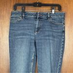 J. Jill Woman’s Authentic Fit Slim Classic Denim Jeans Size 6 Stretch Blue Photo 1